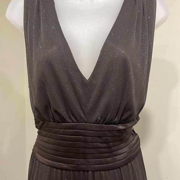 NWOT R&M Richards Brown w/Blue Glitter Dress. Size 16W XL plus - Picture 4 of 12